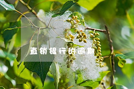直销银行的逾期 直销银行的逾期