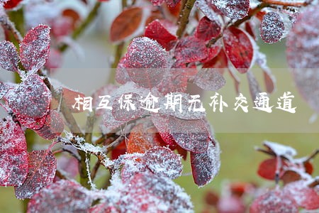 相互保逾期无补交通道 相互保逾期无补交通道