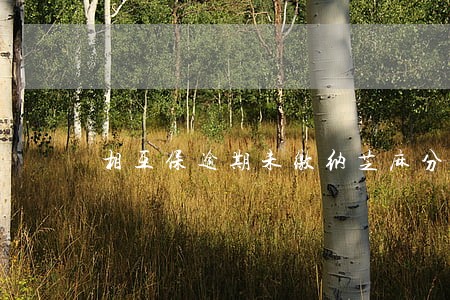 相互保逾期未缴纳芝麻分有影响吗 相互保逾期未缴纳芝麻分有影响吗