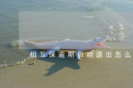 相互保逾期自动退出怎么处理 相互保逾期自动退出怎么处理