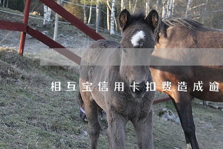 相互宝信用卡扣费造成逾期 相互宝信用卡扣费造成逾期