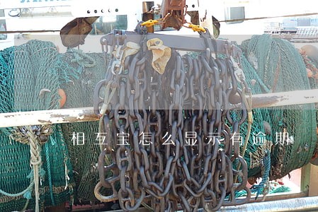 相互宝怎么显示有逾期 相互宝怎么显示有逾期