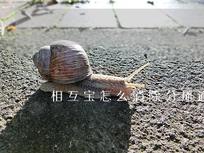 相互宝怎么消除分摊逾期记录