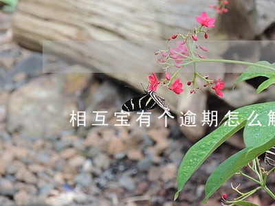 相互宝有个逾期怎么解决 相互宝有个逾期怎么解决