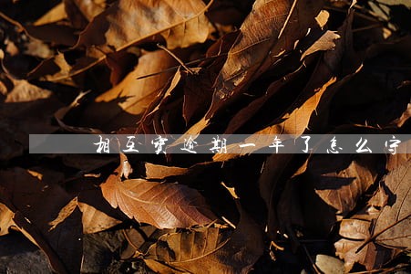 相互宝逾期一年了怎么守约 相互宝逾期一年了怎么守约