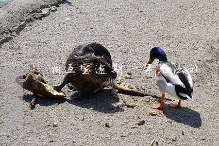 相互宝逾期一年无法补 相互宝逾期一年无法补