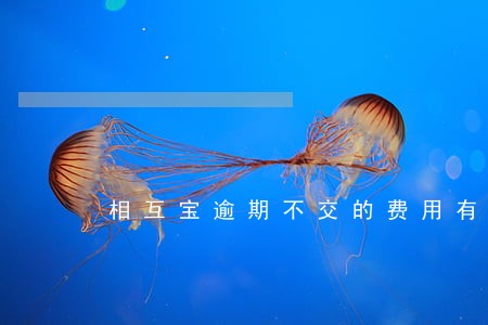 相互宝逾期不交的费用有影响吗 相互宝逾期不交的费用有影响吗