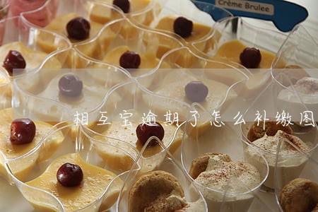 相互宝逾期了怎么补缴图片 相互宝逾期了怎么补缴图片