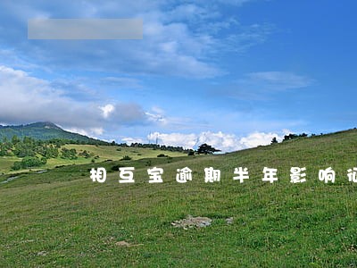 相互宝逾期半年影响征信吗