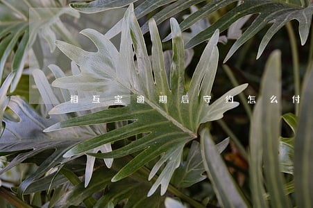 相互宝逾期后守约怎么付款 相互宝逾期后守约怎么付款