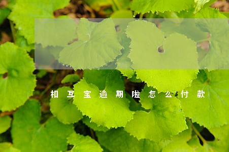 相互宝逾期啦怎么付款 相互宝逾期啦怎么付款
