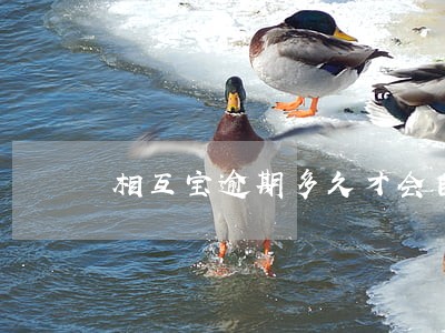 相互宝逾期多久才会自动停保
