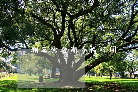 相互宝逾期多长时间