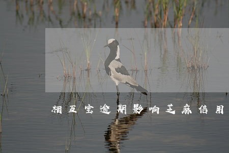 相互宝逾期影响芝麻信用吗 相互宝逾期影响芝麻信用吗