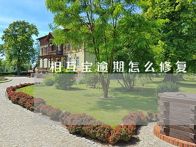 相互宝逾期怎么修复 相互宝逾期怎么修复