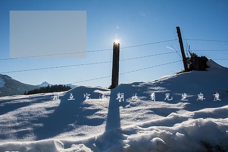 相互宝逾期没看见芝麻度 相互宝逾期没看见芝麻度