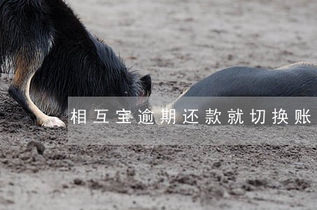 相互宝逾期还款就切换账户