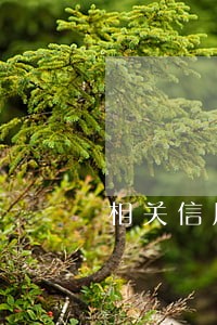 相关信用卡逾期的法律 相关信用卡逾期的法律