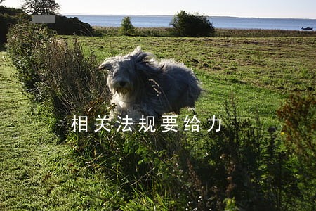 相关法规要给力 相关法规要给力