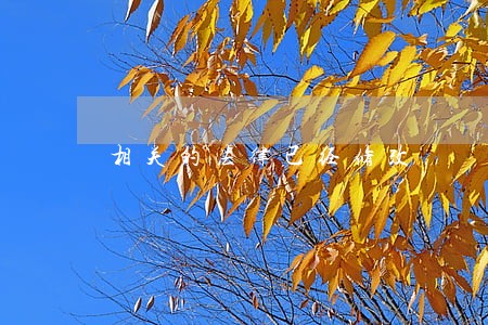 相关的法律已经修改 相关的法律已经修改