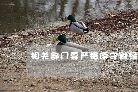 相关部门要严格遵守财经法规 相关部门要严格遵守财经法规