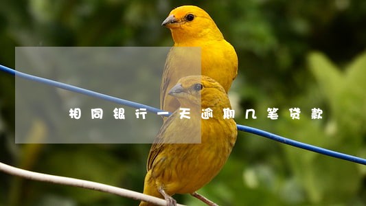 相同银行一天逾期几笔贷款 相同银行一天逾期几笔贷款