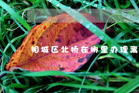 相城区北桥在哪里办理离婚 相城区北桥在哪里办理离婚