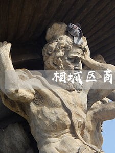 相城区商业纠纷法律咨询 相城区商业纠纷法律咨询