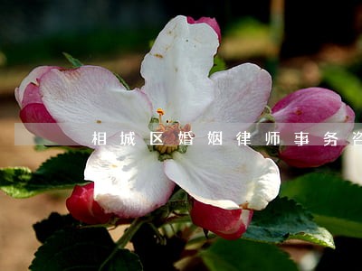 相城区婚姻律师事务咨询 相城区婚姻律师事务咨询