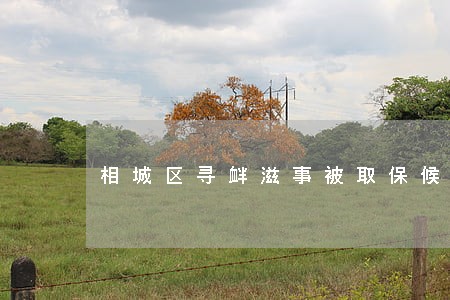 相城区寻衅滋事被取保候审 相城区寻衅滋事被取保候审