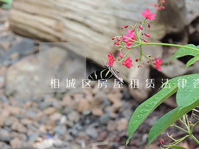 相城区房屋租赁法律咨询 相城区房屋租赁法律咨询