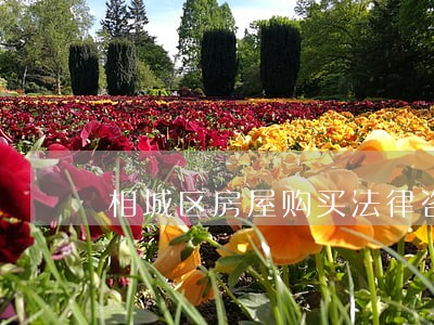 相城区房屋购买法律咨询 相城区房屋购买法律咨询