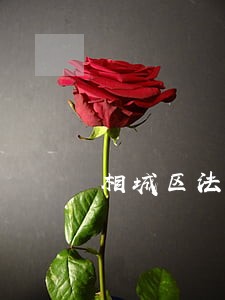 相城区法律咨询中心电话 相城区法律咨询中心电话