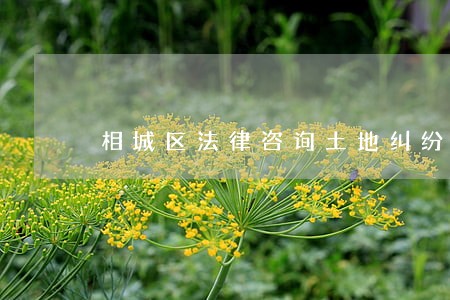 相城区法律咨询土地纠纷 相城区法律咨询土地纠纷