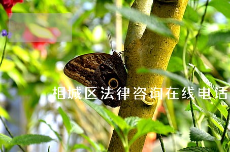 相城区法律咨询在线电话 相城区法律咨询在线电话