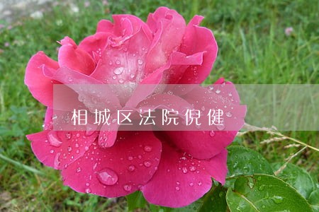 相城区法院倪健 相城区法院倪健