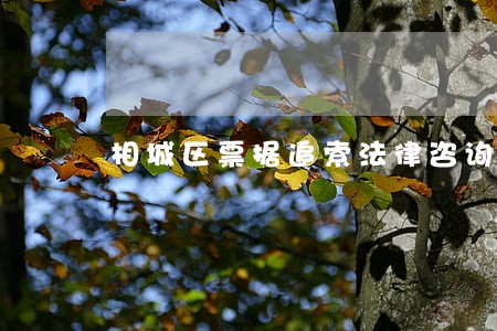 相城区票据追索法律咨询 相城区票据追索法律咨询
