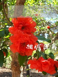相城区离婚协议法律咨询 相城区离婚协议法律咨询