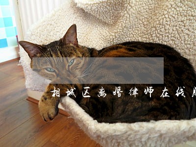 相城区离婚律师在线服务