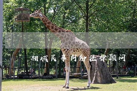 相城民事纠纷法律顾问 相城民事纠纷法律顾问