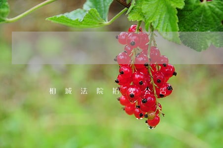 相城法院拍卖公告