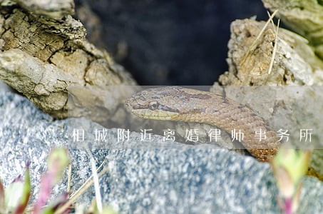 相城附近离婚律师事务所 相城附近离婚律师事务所