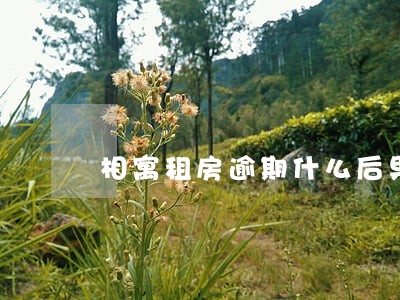 相寓租房逾期什么后果 相寓租房逾期什么后果