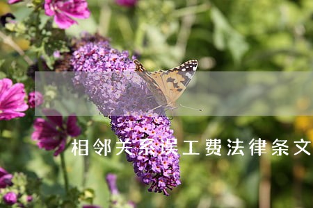 相邻关系误工费法律条文