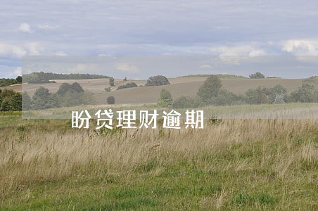 盼贷理财逾期 盼贷理财逾期