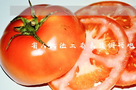 省人大法工委来盐调研地方性法规 省人大法工委来盐调研地方性法规