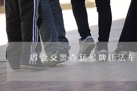 省会交警查获号牌违法车辆
