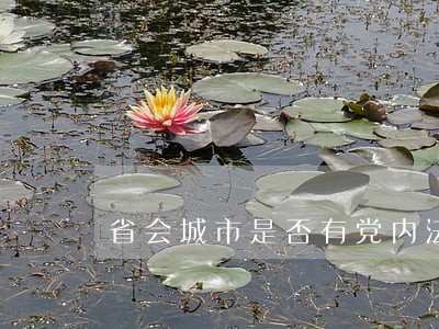省会城市是否有党内法规权 省会城市是否有党内法规权
