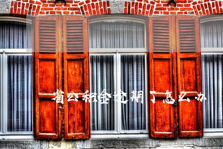 省公积金逾期了怎么办 省公积金逾期了怎么办