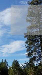 省内找贷款逾期的车 省内找贷款逾期的车
